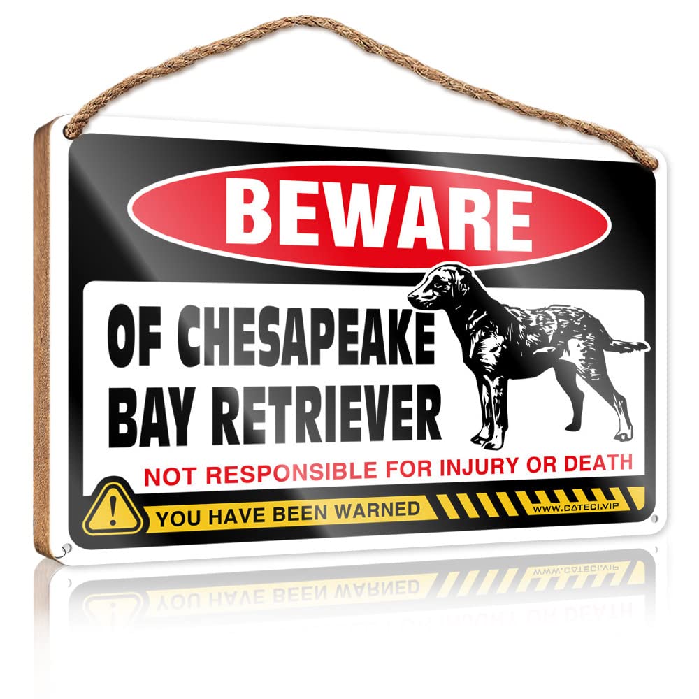 Quote Wood Plaque Beware Of Chesapeake Bay Retriever Wooden Sign Sign Wooden Hanging Funny Hanging Sign(23X35CM)