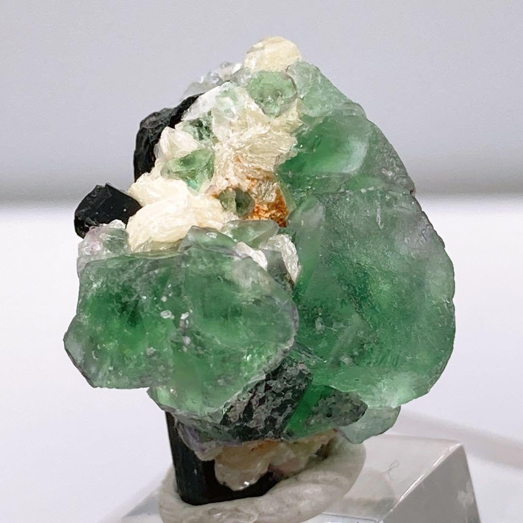 Amazon | フローライト 蛍石 エロンゴ 原石 鉱物標本 990 | 岩石・鉱物