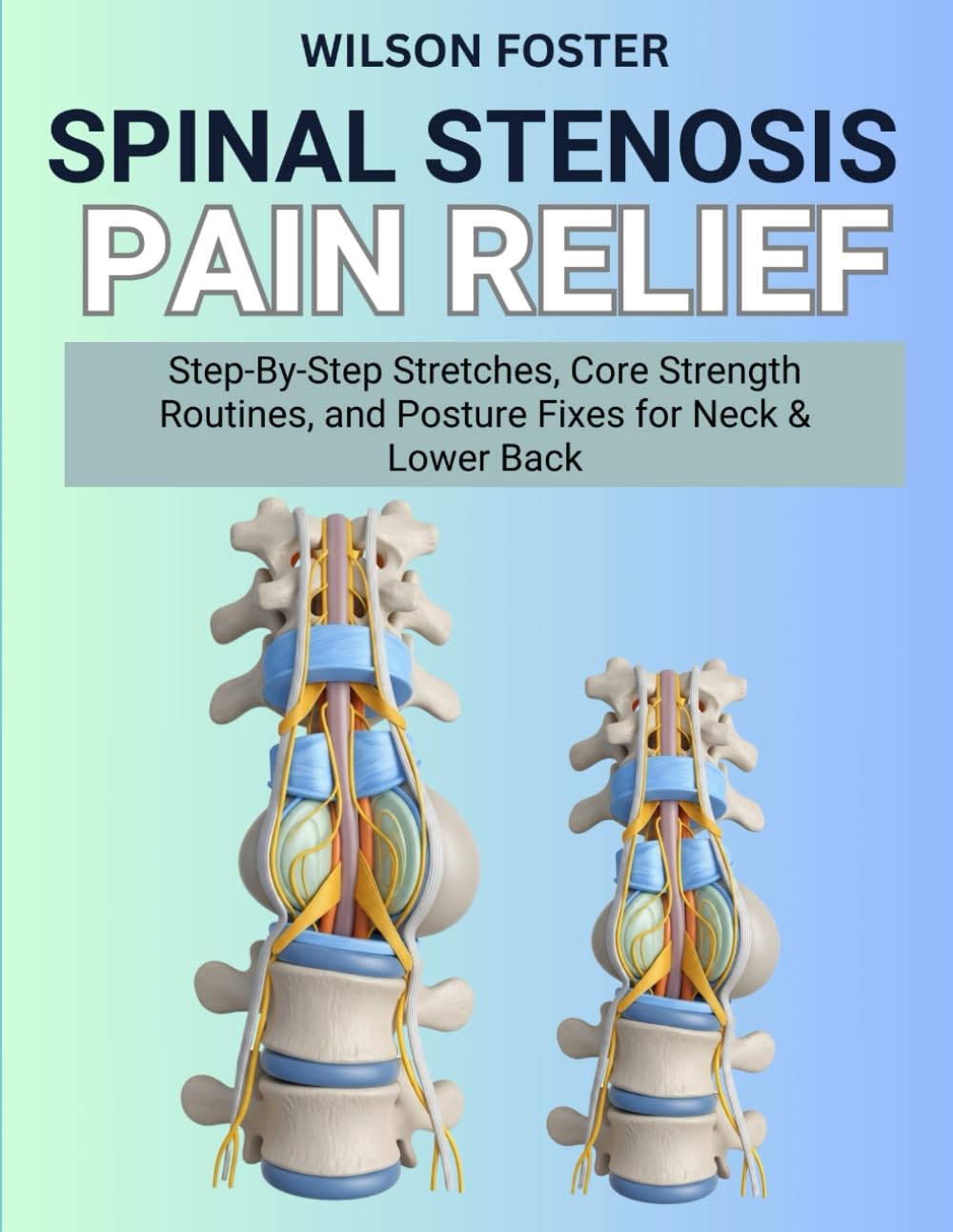 Spinal Stenosis Pain Relief: Step-By-Step Stretches, Core Strength Routines, and Posture Fixes for Neck & Lower Back
