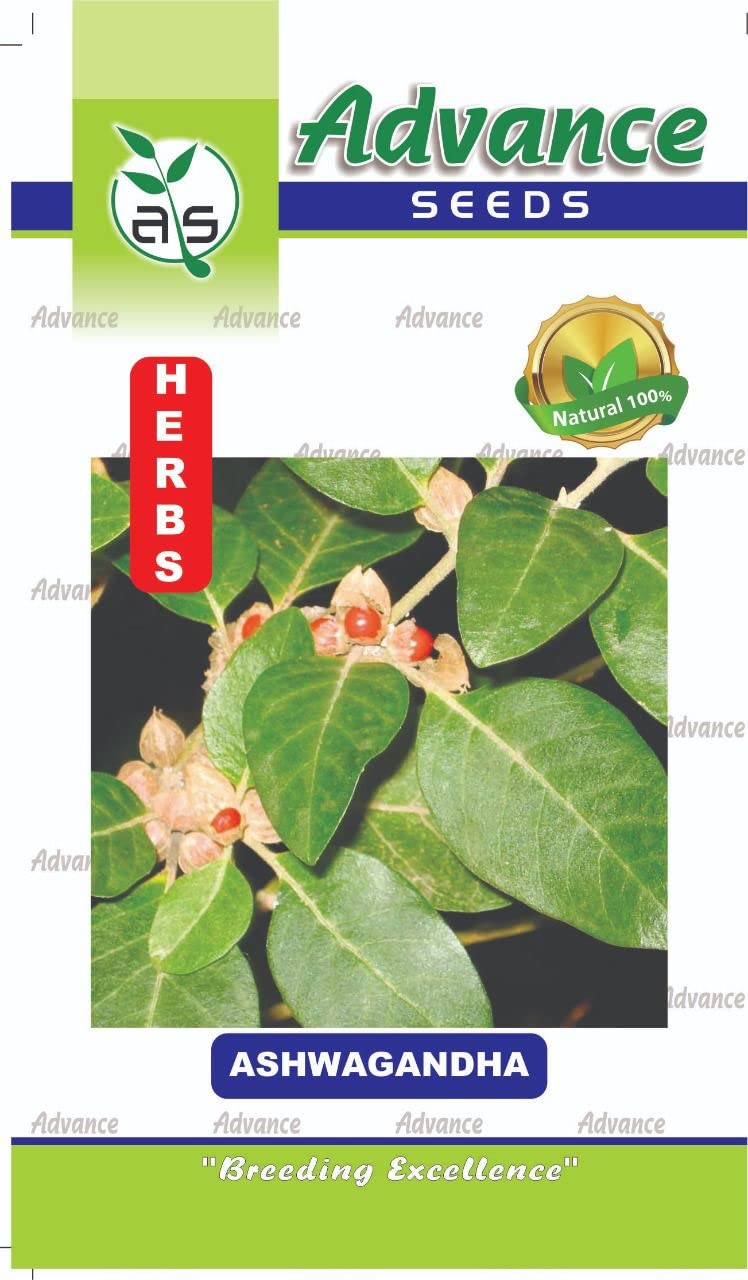 Gardenify India Ashwagandha Indian Ginseng Seeds For Planting (25 Seeds/Packet) (B094GH3C5W) Amazon Price History, Amazon Price Tracker