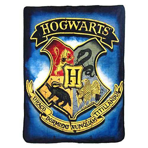 Harry Potter, "Hidden School" Micro Raschel Throw Blanket, 46" x 60", Multi Color
