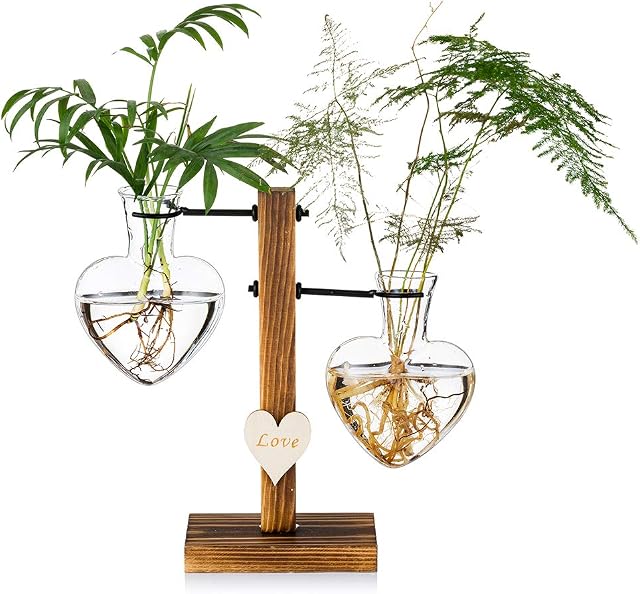 Glass Plant Terrarium with Wooden Stand, Creative Double Heart Glass Hydroponic Vases, Modern Plant Propagation Station Desktop Planter Bulb Vase for Home Garden Office Decoration