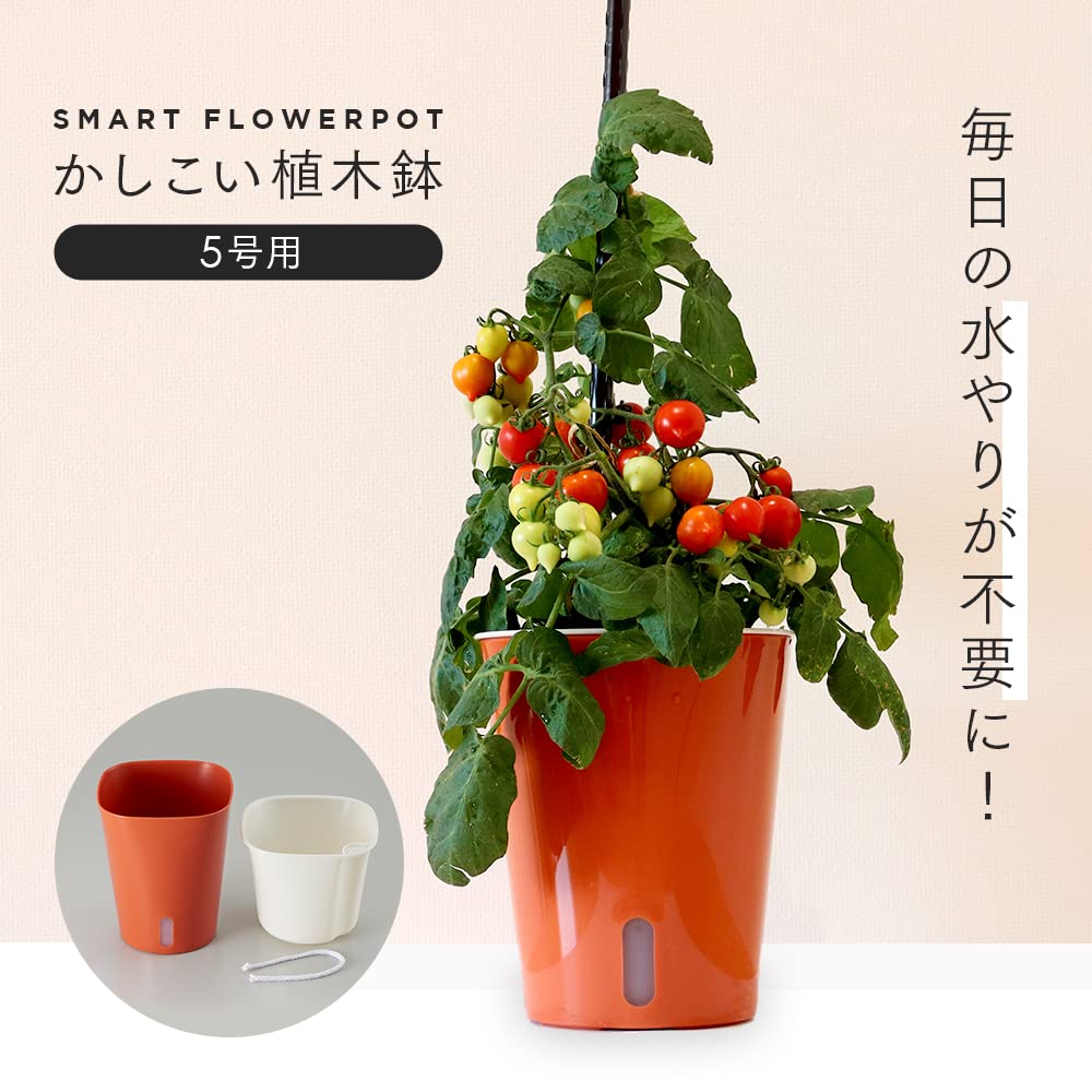 優木園　瓜子姫　交配用　鉢ごと　札付き Amazon.co.jp: アイメディア(Aimedia) 植木鉢 プランター 自動給水 水