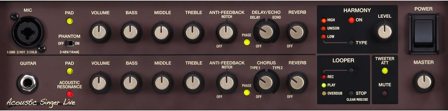 Boss ACS Live 60W Combo Amplifier for Acoustic Guitar and Vocals - Image 4