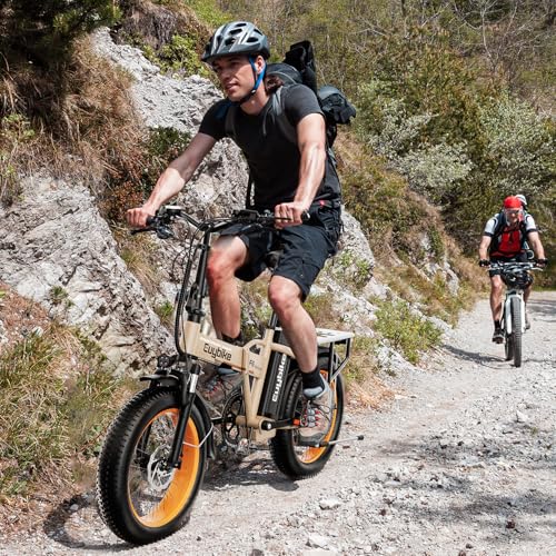 1000W Folding Electric Bike, 48V 20AH Large Removable