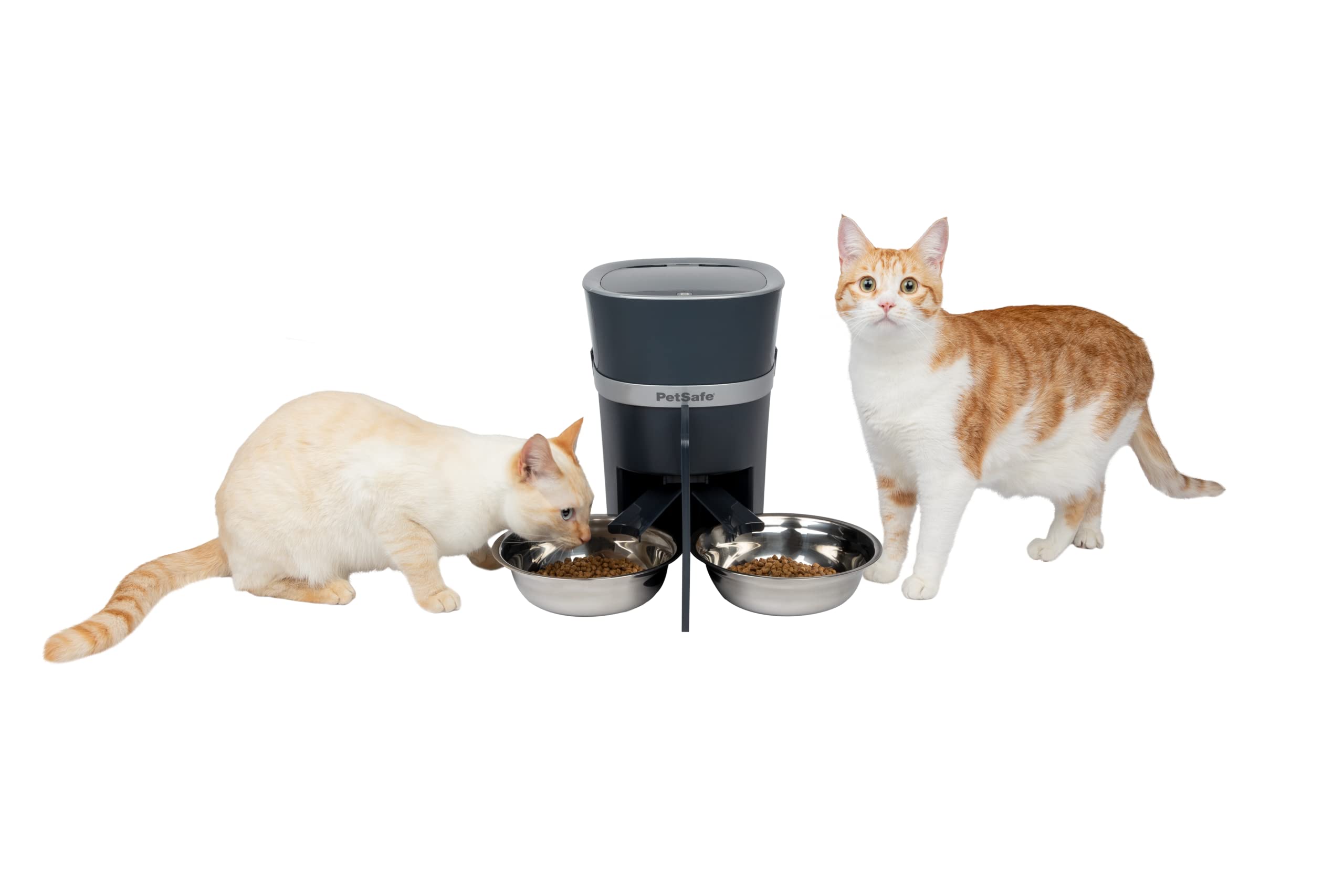 Dispenser Automatico Cibo E Acqua Per Animali - Doppia Ciotola 3.8L, Per Cani E Gatti - Foto 7