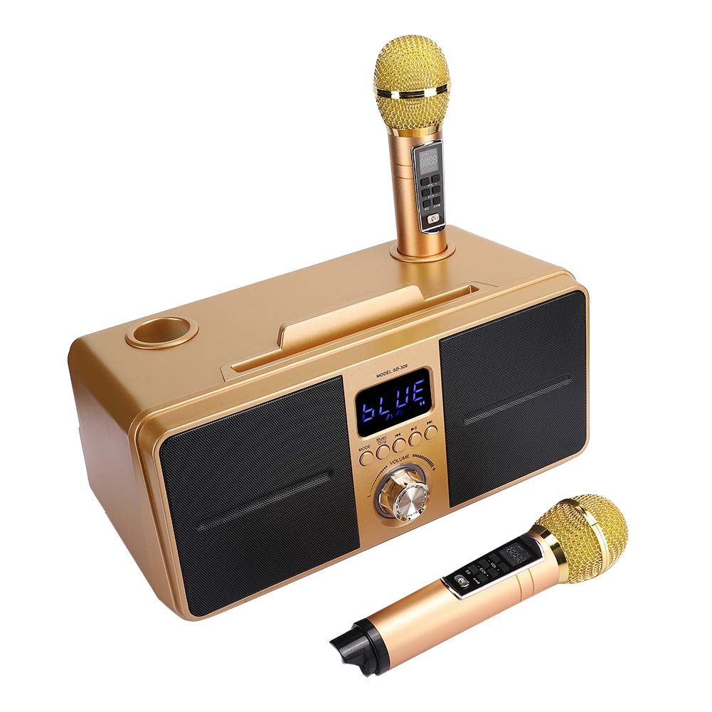 Bewinner1 Karaoke Bluetooth, Casse Karaoke con 2 Microfoni Wireless, PA Bluetooth Portatile, Altoparlante Karaoke con Supporto per Cellulare/USB/TF/AUX