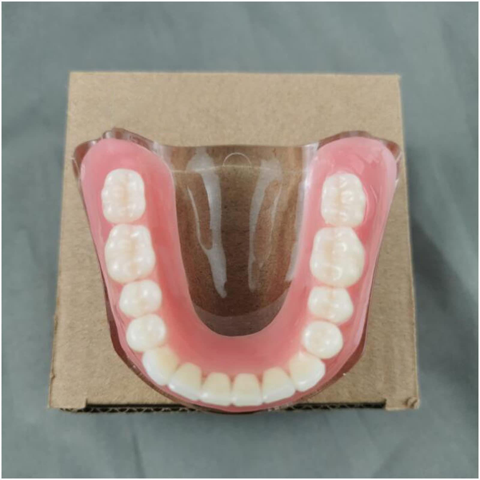 Model demonstracyjny zębów, wyjmowany implant, analiza, model odbudowy zębów do nauczania zębów lub pielęgnacji jamy ustnej