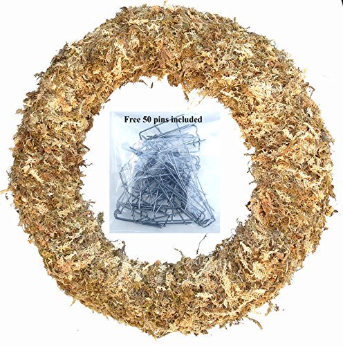 17" Living Wreath Sphagnum Moss Form Complete