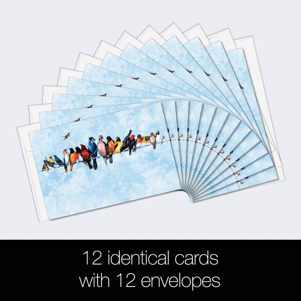 Tree-Free Greeting Cards - 12 All Occasion Cards With Zebra Flowers Design