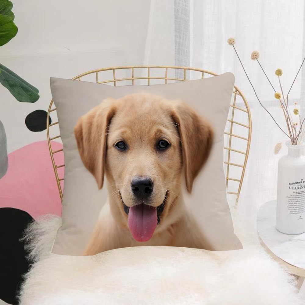 HYMSXW Cushion Cover,Throw Pillow Case Home Decorative for Living Room Bedroom Sofa Chair 20X20 Inch,Yellow Labrador Puppy Portrait,Pillowcase 50X50cm