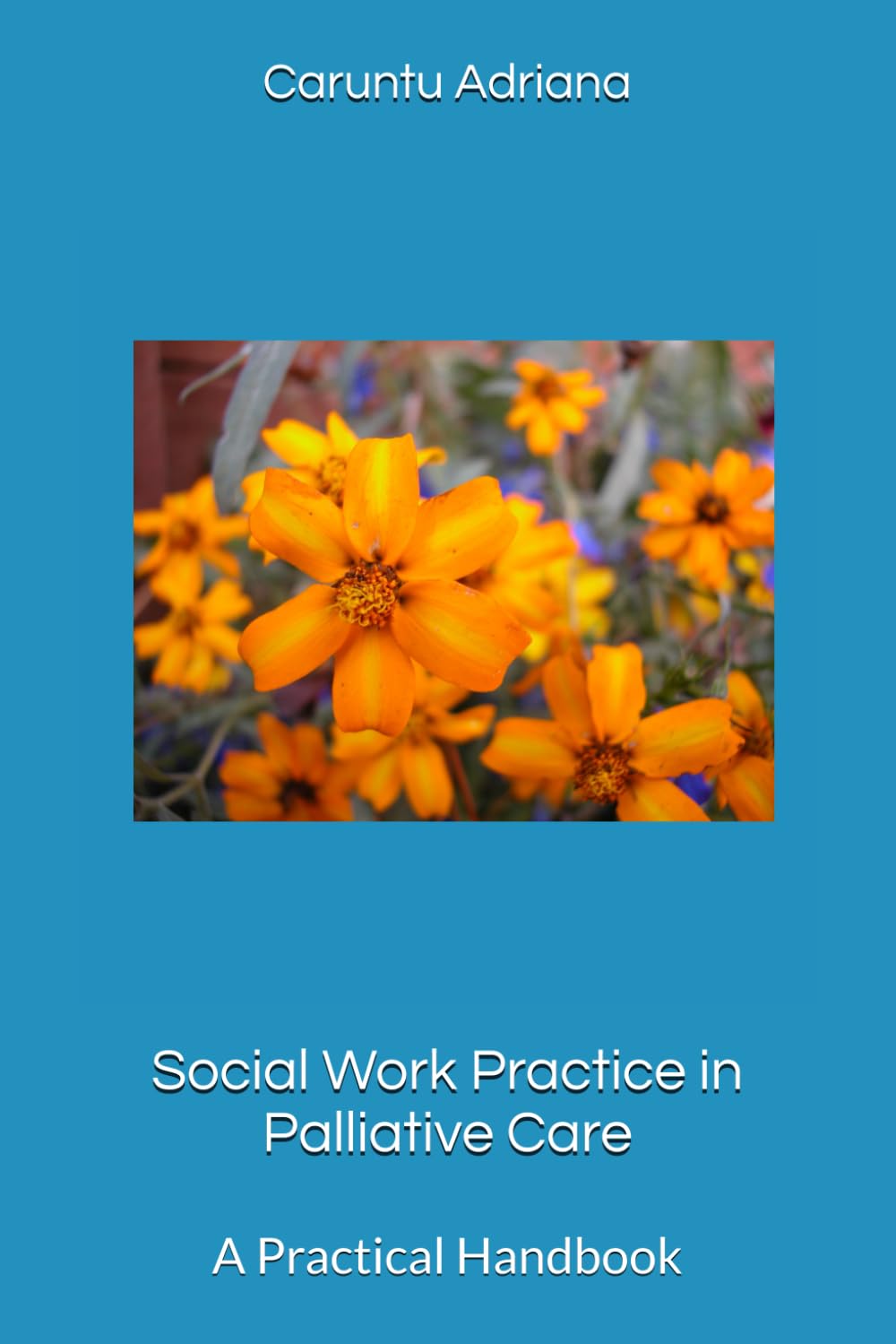 Social Work Practice in Palliative Care: A Practical Handbook