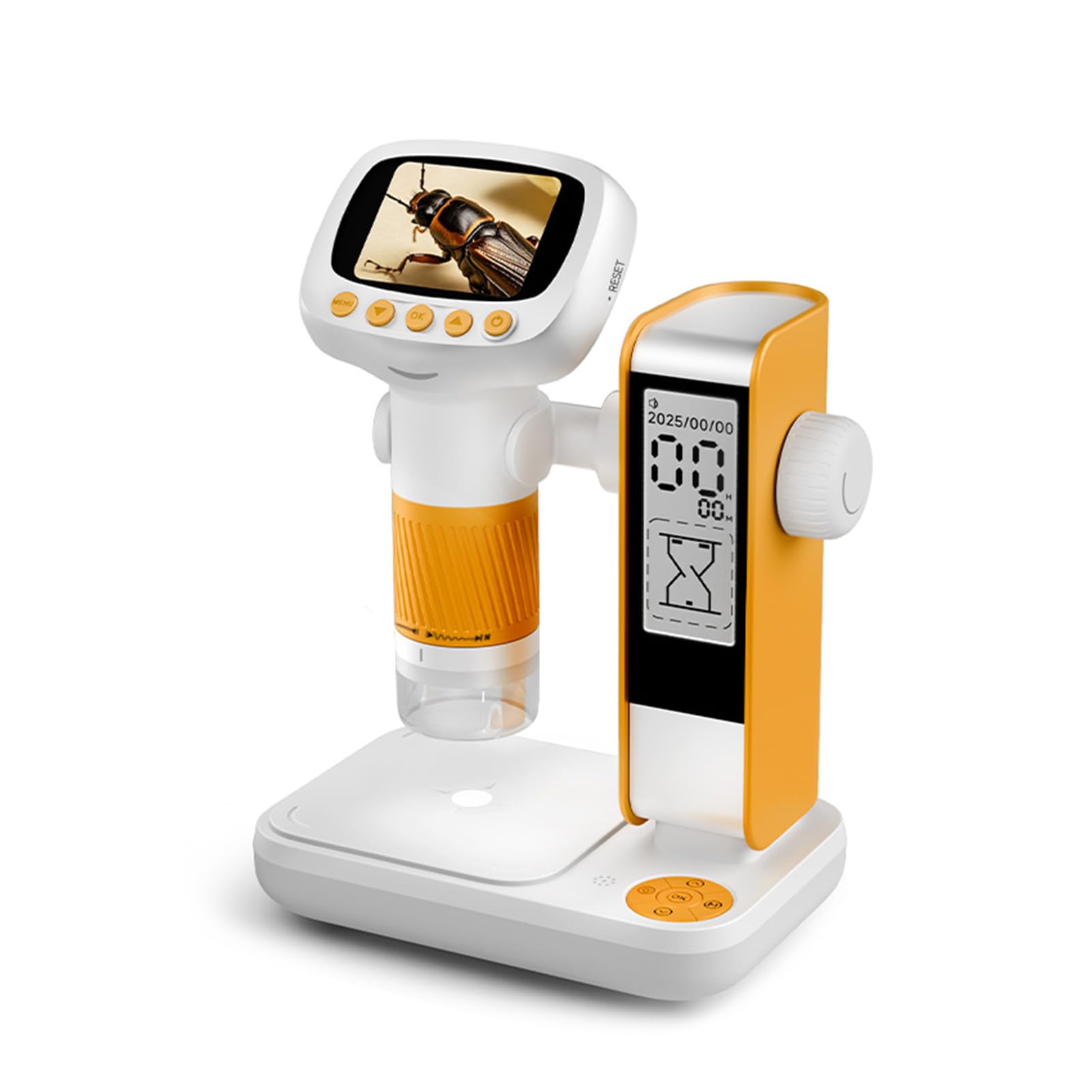 Bewinner Mikroskop Cyfrowy Ręczny, Przenośne Zdjęcia i Wideo Mini Mikroskopy 2 -calowe, 1000x Microscope MICROCKOP z 8 Regulowanymi światłami LED dla Dzieci