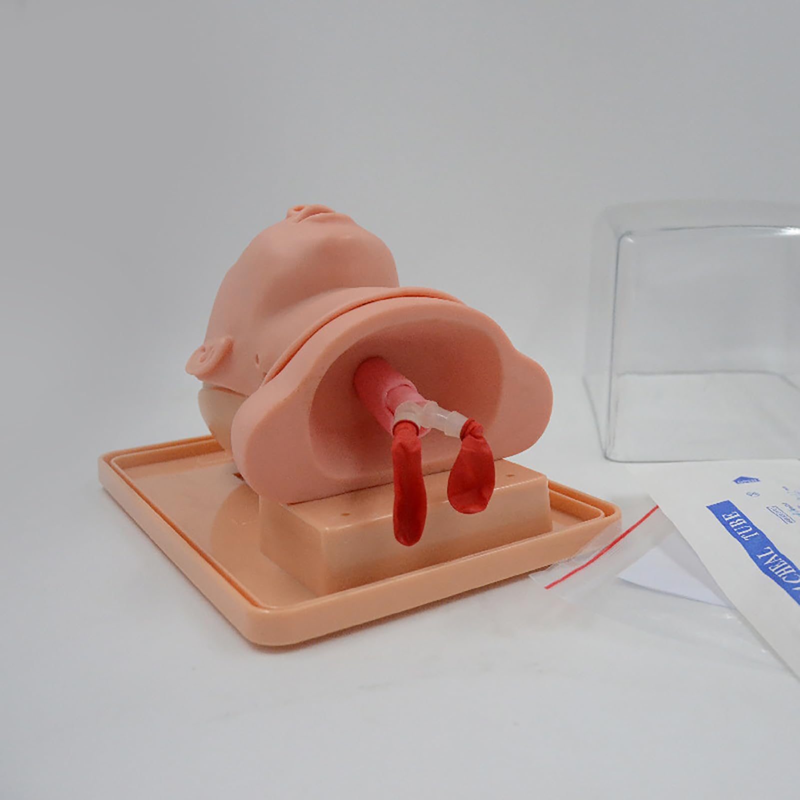 Manikin intubazione neonatale, Modello di addestramento intubazione tracheale pediatrico, simulatore Orale delle Vie aeree nasali