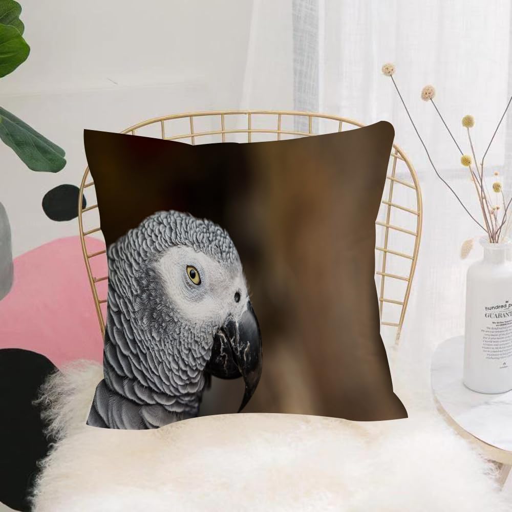 HYMSXW Cushion Cover,Throw Pillow Case Home Decorative for Living Room Bedroom Sofa Chair 20X20 Inch,Close up of African Gray Parrot with brown background,Pillowcase 50X50cm
