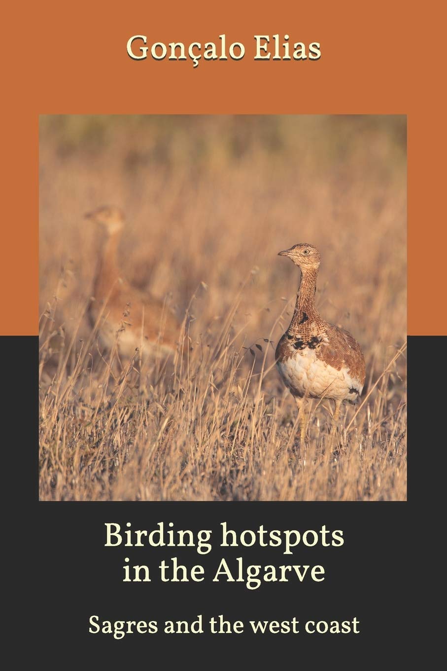 Birding hotspots in the Algarve: Sagres and the west coast: 8