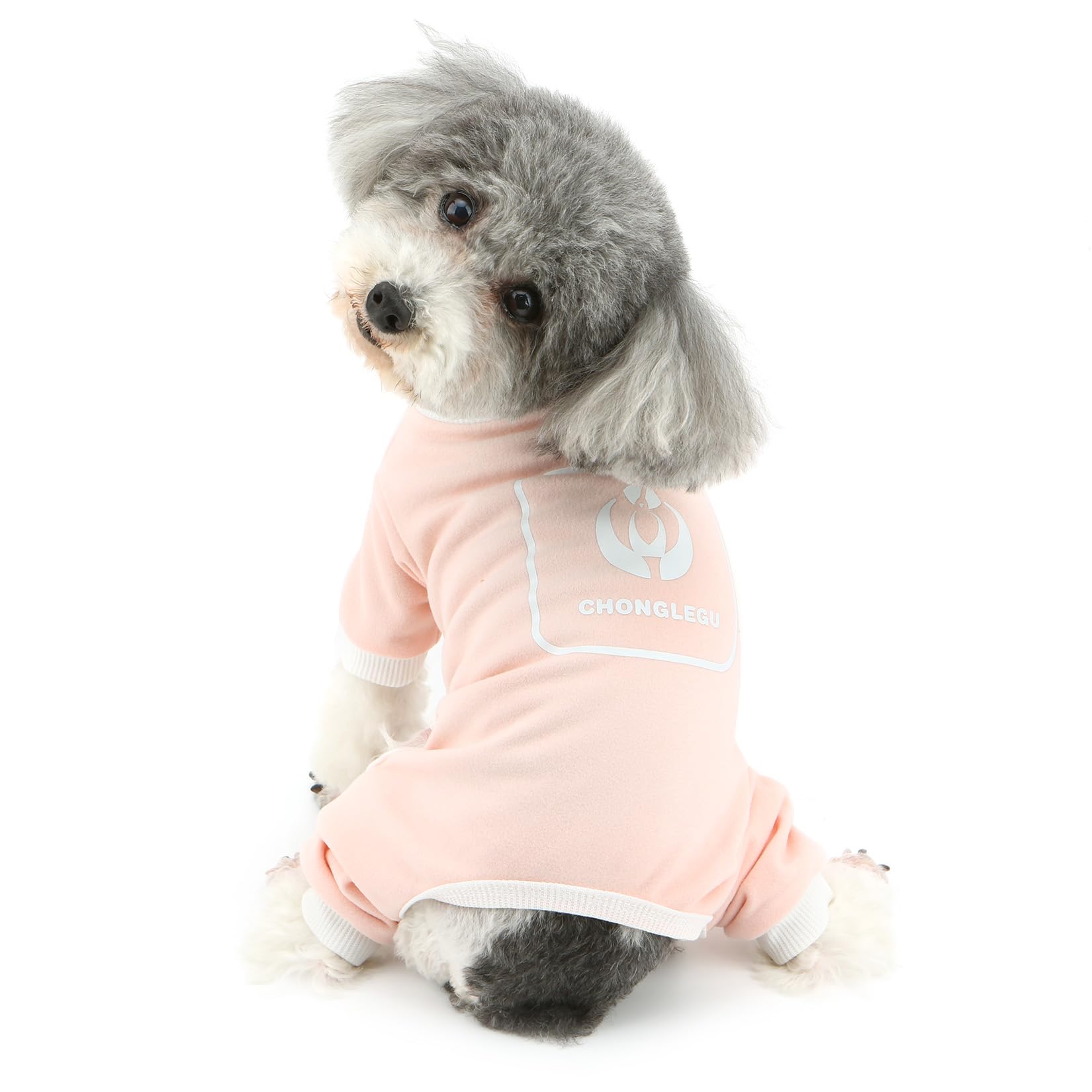 Ranphy Leuke hond pyjama winterkleding voor kleine honden meisje jongen huisdier trui jumpsuit zachte puppy onesie buik cover doggy thermische pyjama met D-ring chihuahua yorkie kat kleding, blauw, XL
