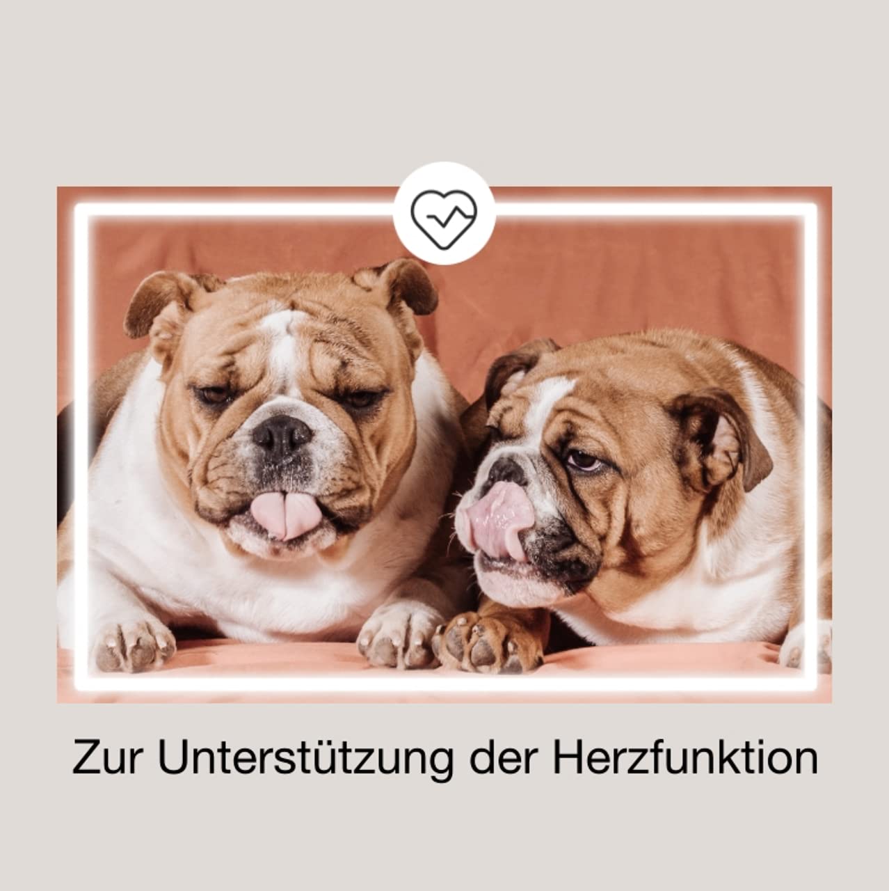 300 Kapseln (3 Pkg.) CaniMove Cardio mini -Ergänzungsfuttermittel für Hunde zur Unterstützung der Herzfunktion.
