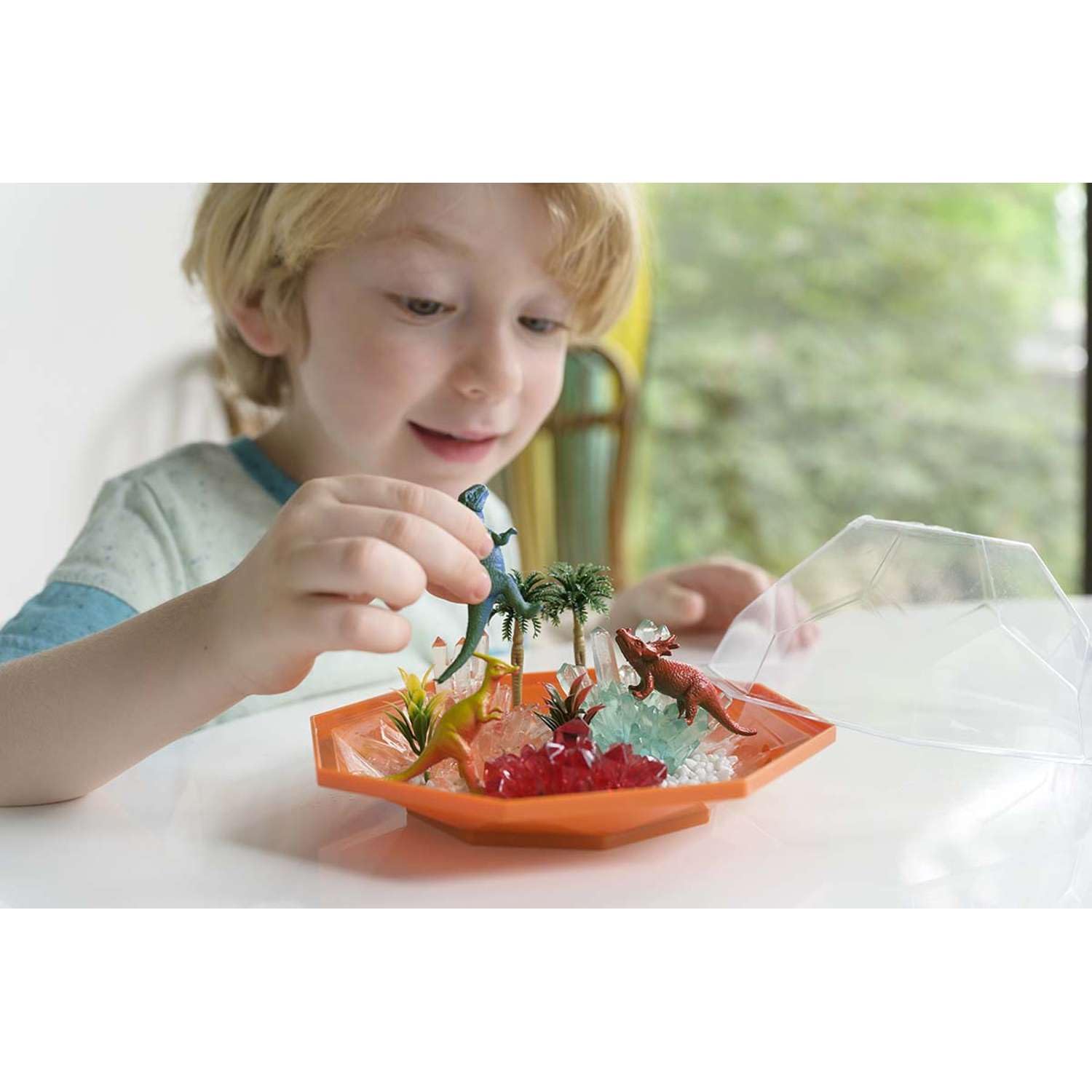 4M 403926 Dino Crystal Terrarium, Mixed Colours : Amazon.sg: Toys