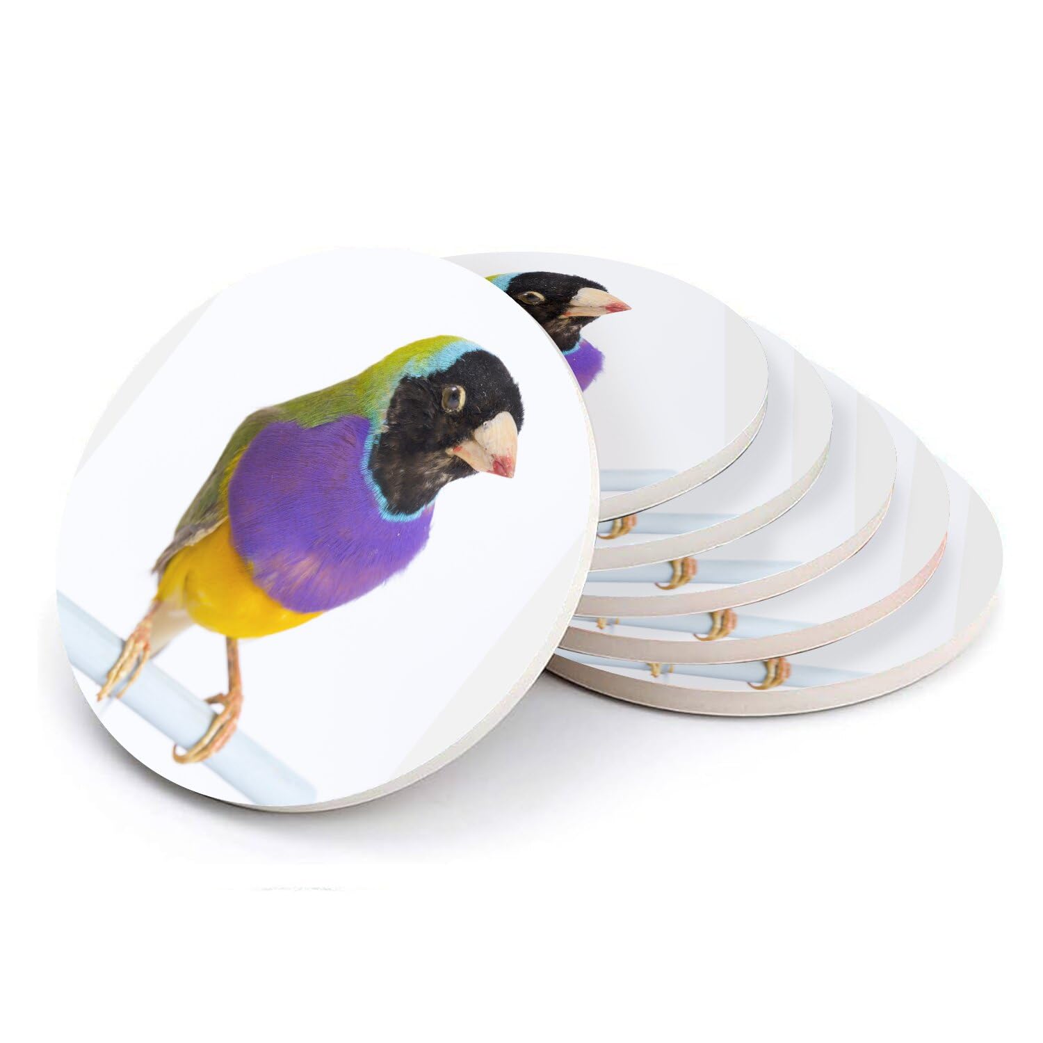 Sottobicchiere rotondo in ceramica - Uccello esotico Gouldian Finch Multicolor - Set di 6 (108 x 108 mm)