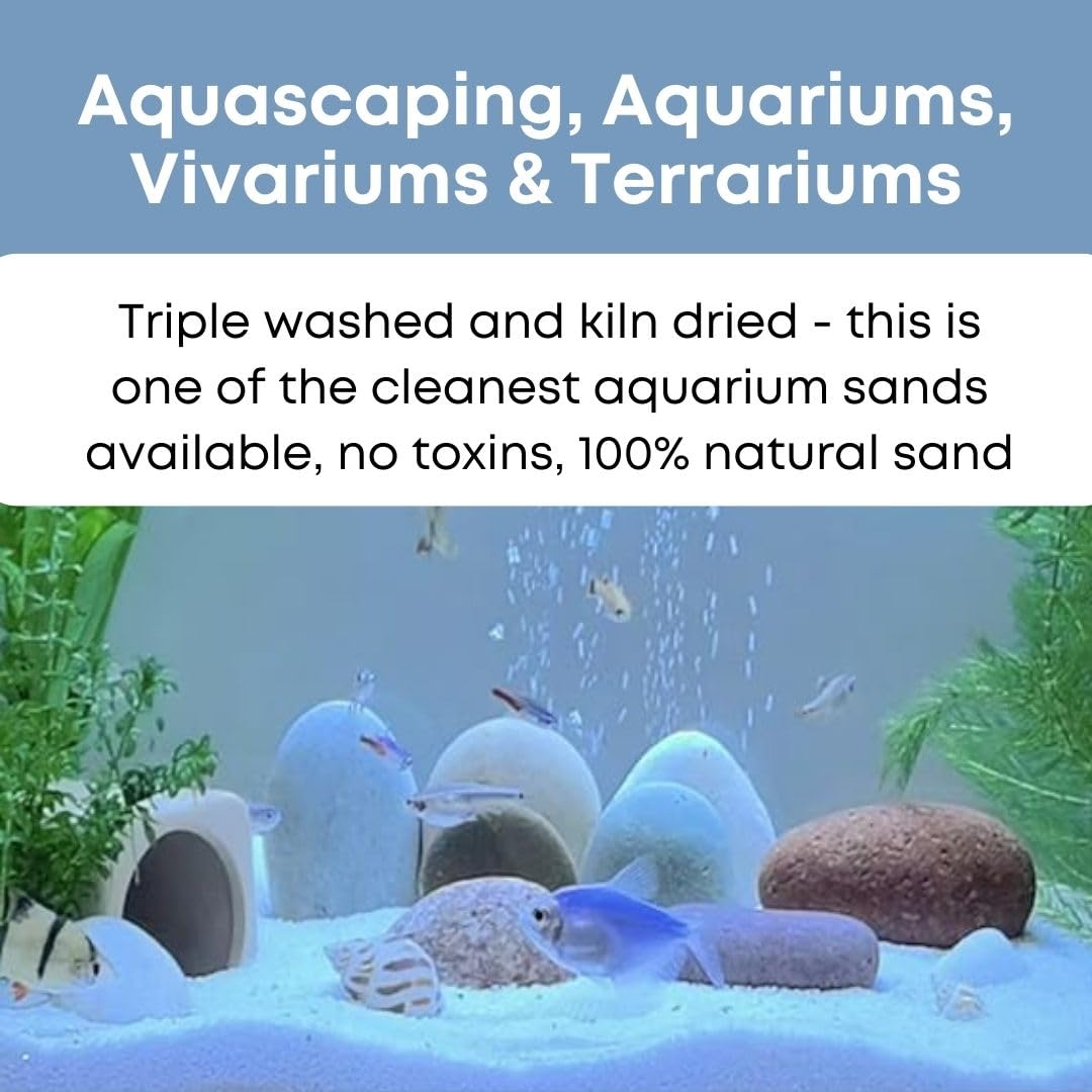 Casa De Amor Natural Aquarium White Sand Sugar Size for Freshwater Fish Tank/Decoration/Terrarium/Paintings/Plants Potted/Lawn & Garden/Fire Pits/Candle/Vase Filler and Crafts (1800 gm) 4