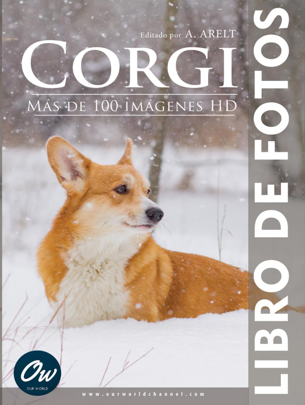 Livre de photos Corgi illustré d'images HD pour amateur d'album canin
