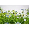 Product Photo 8