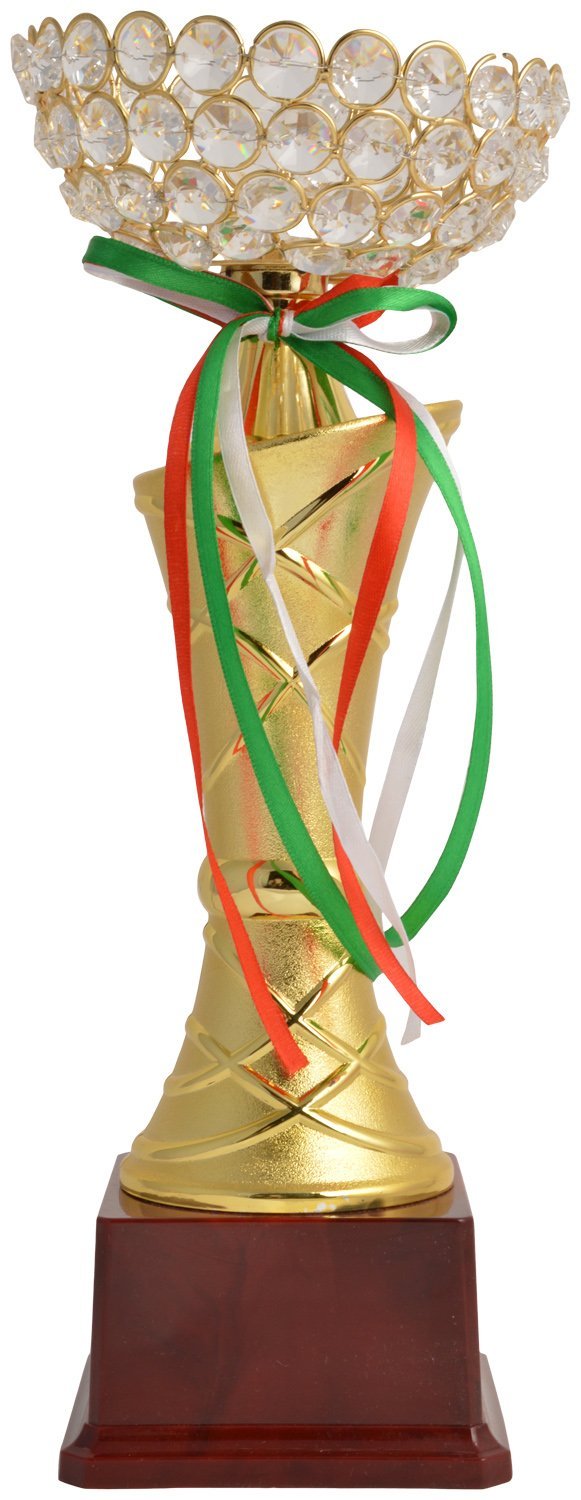 NP CRYSTAL BOWL TROPHY S-image-13