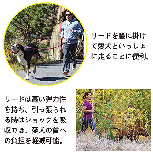 Amazon | IKENOKOI犬用リード 伸縮可 滑り止め 腰に掛ける可 両手解放