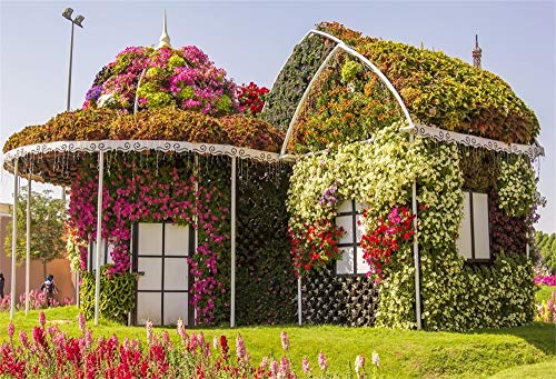 How long does it take to see miracle garden