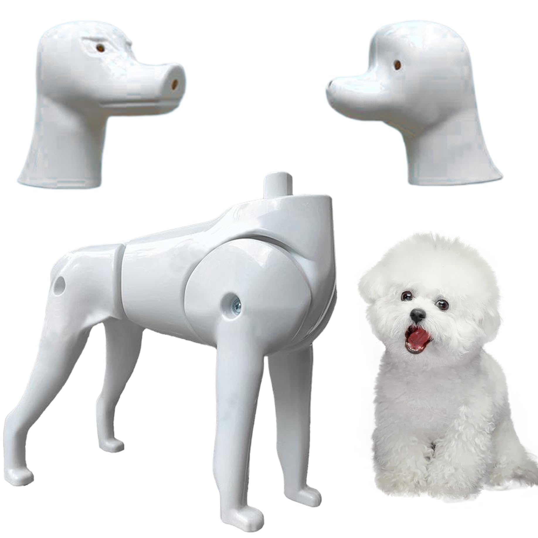 Modello per cani Mannequin, 2 in 1 Pomeranian & Poodle Dog Model, strumento di pratica di toelettatura per l'addestramento del toelettatore