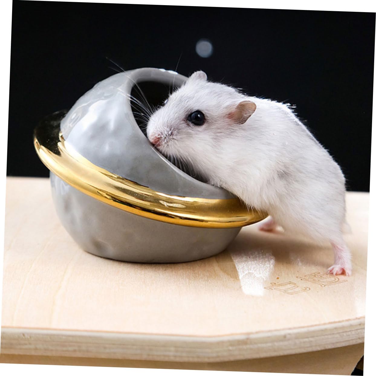 Angoily Gamelle pour Hamster Céramique Accessoire De Maison Lavable pour Petits Rongeurs