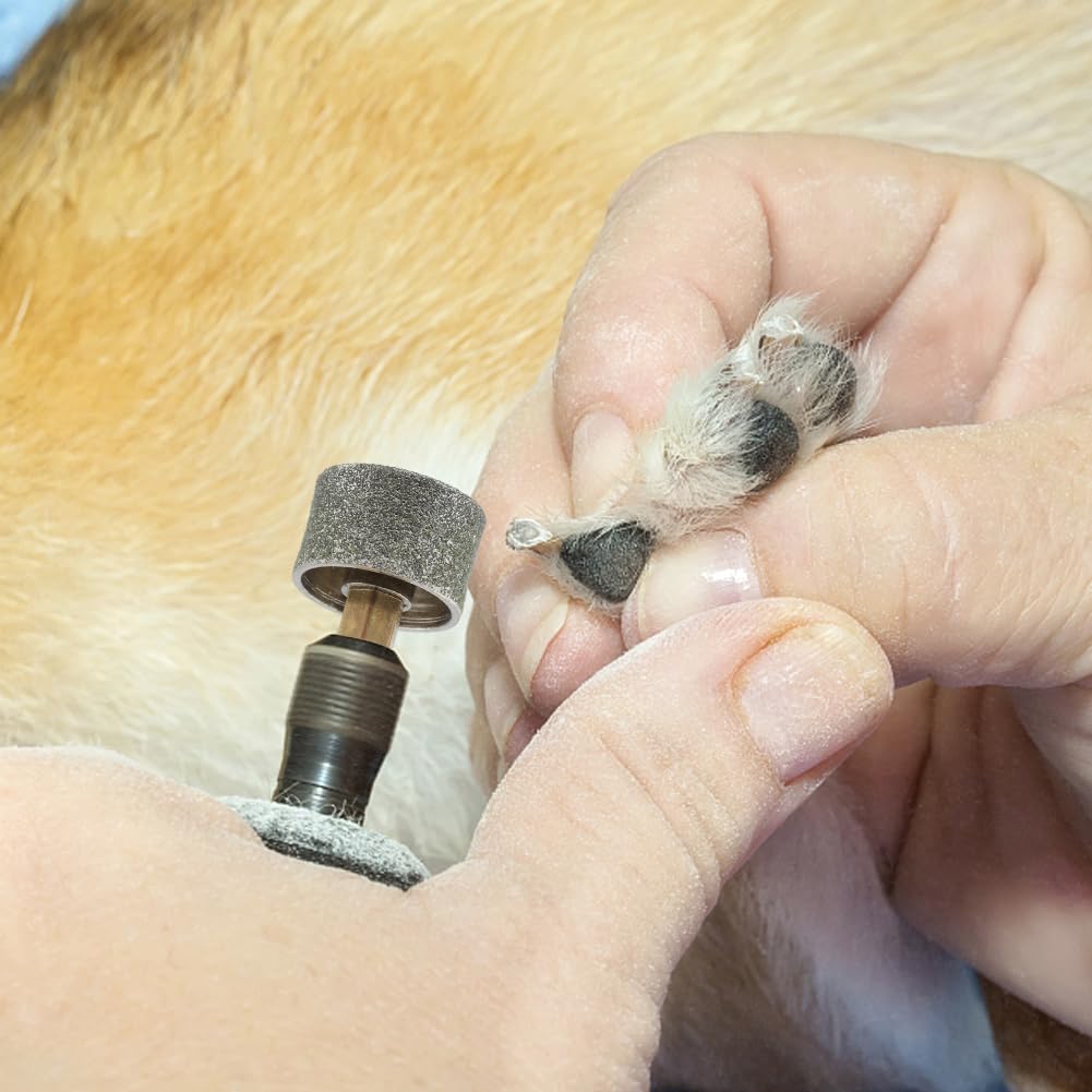 Diamant-Nagelschleifer-Aufsätze Für Hunde – 2 Stück, Für Dremel, Geräuscharm, Für Mittelgroße & Große Hunde