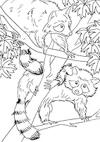 Petites betes et grosses bestioles: Mon premier art - therapie - 100 coloriages creatifs (French Edition) 2012319637 Book Cover