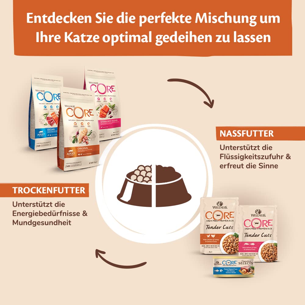 Wellness CORE Sterilised Original 4 kg, Huhn & Truthahn – Katzenfutter Trocken für sterilisierte Katzen, getreidefrei, natürlich, hypoallergen, proteinreich, für eine gesunde Gewichtsregulierung