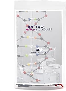 DNA Model Set