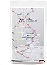 DNA Model Set