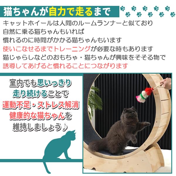 Amazon.co.jp: キャットホイール 猫専用ルームランナー 猫 回し