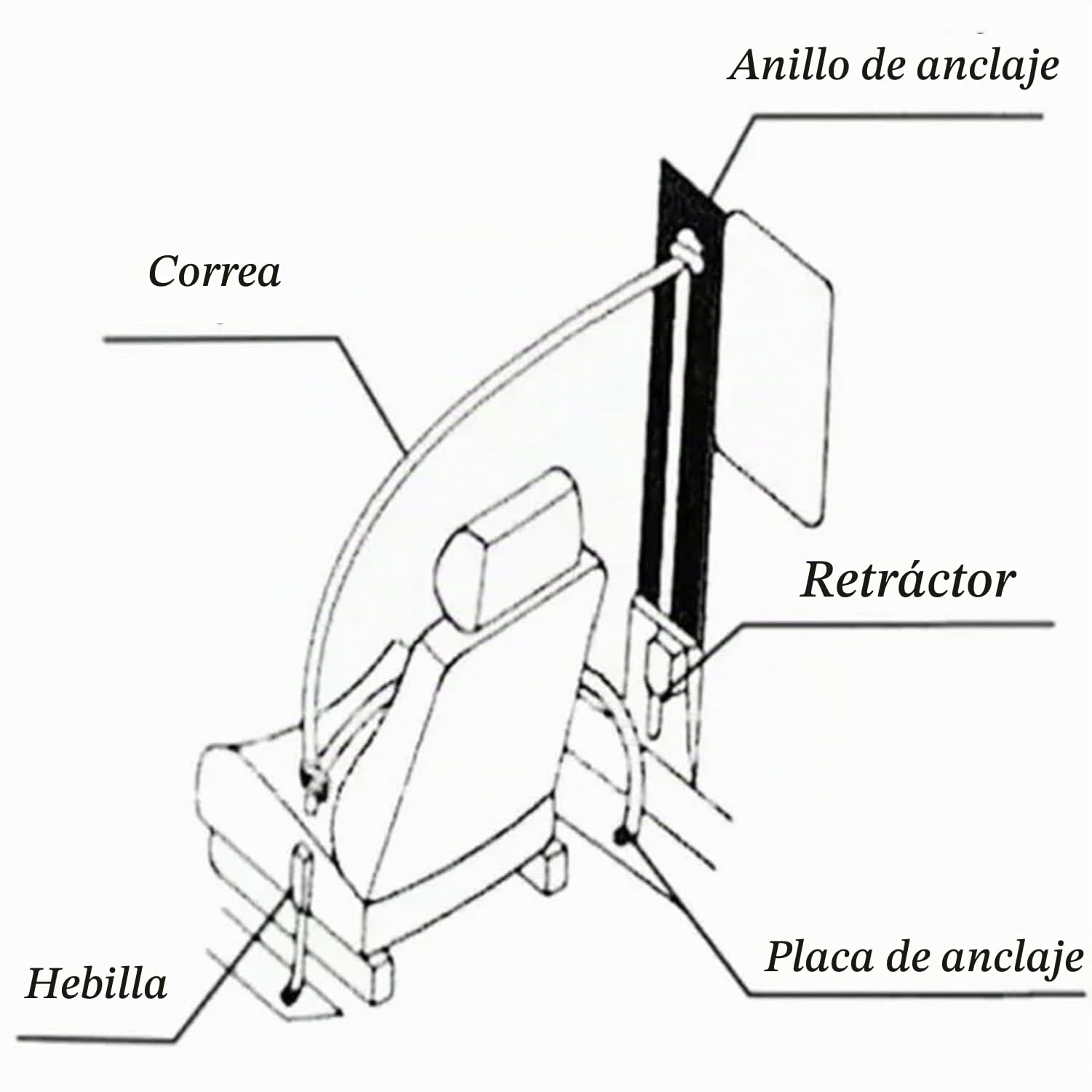 Generic Cinturón Universal Ajustable y Extensible de 3Pt, Compatible con la mayoría de los carros de Golf, Utvs, VR y Camiones,Azul