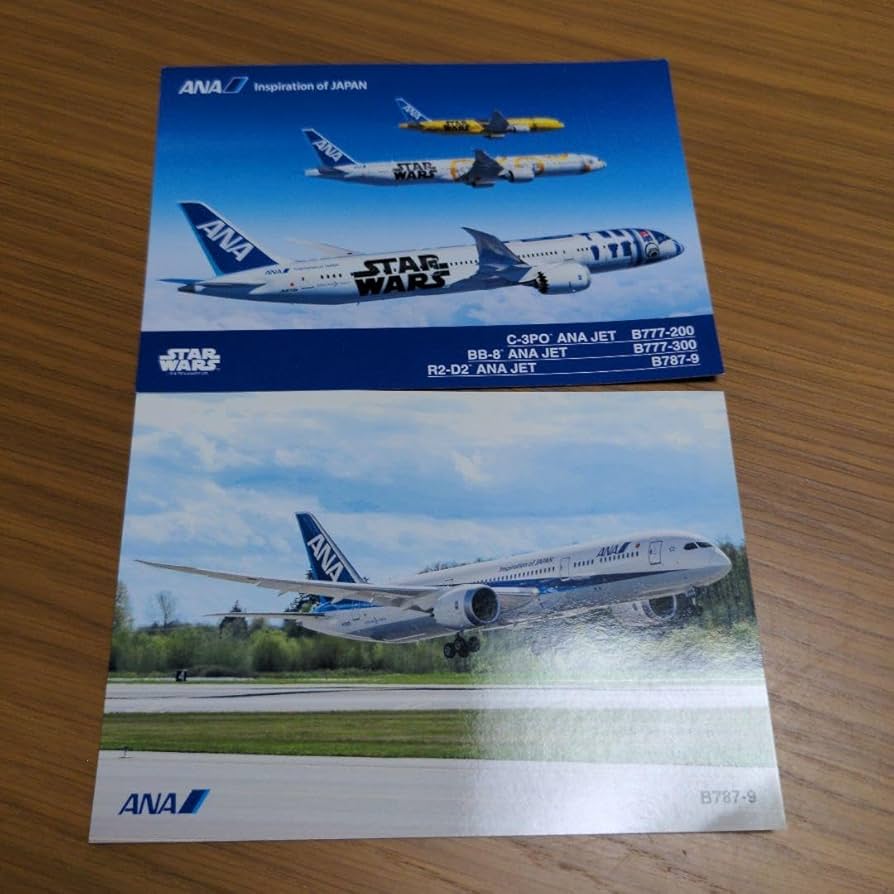 ANA 機体カードCollection 9枚 額装 鑑賞専用 ANA 機体カードCollection 9枚 額装 鑑賞専用