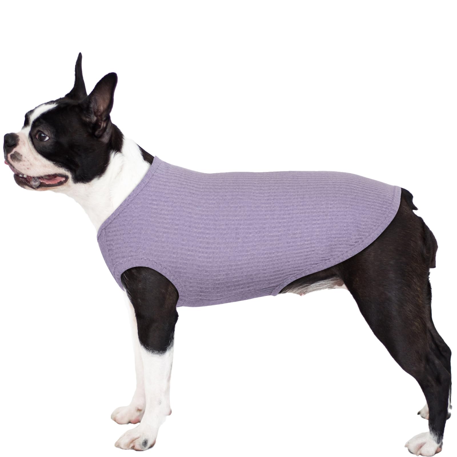 Hjumarayan Camiseta Perro, Camiseta Perrito Fino Camisetas Ligero para Perros Elástico Camiseta Perro Verano, Ropa Verano Perros Ropa Perro Chihuahua Ropa para Gatos, Morado L