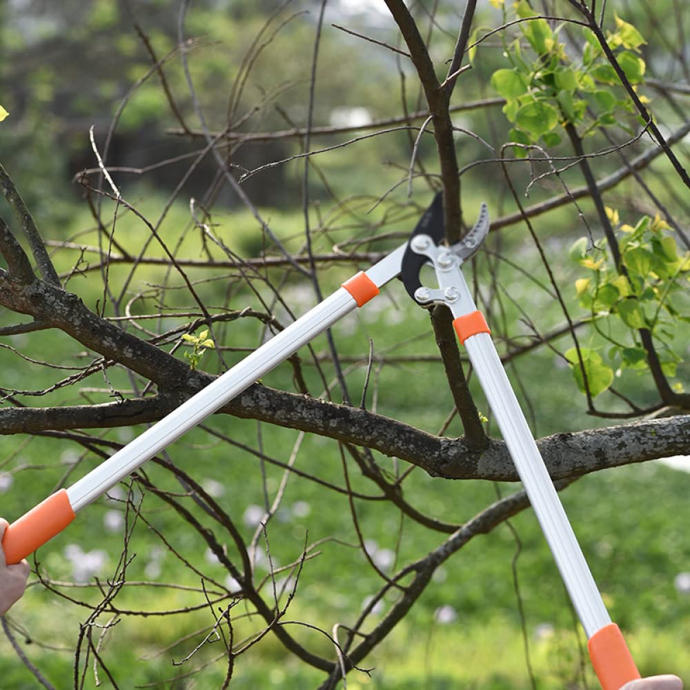 ARKEM Tijeras Para Podar áRboles, Podadora De Ramas Altas Para JardíN, Tijeras TelescóPicas Para Podar áRboles Con Mango Largo Para Uso DoméStico