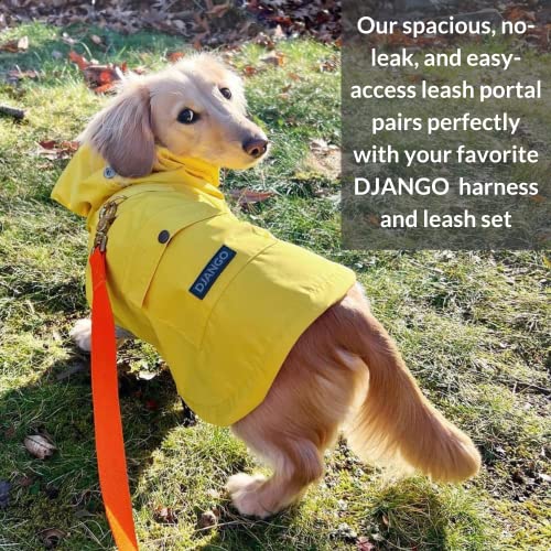Django Highland Dog Jacket And Raincoat - Water-Repellent, Windproof, And Harness-Friendly Hooded Winter Dog Coat & Raincoat With Adjustable Drawstrings & Gunmetal Hardware (Medium, Dandelion Yellow) #TOP4