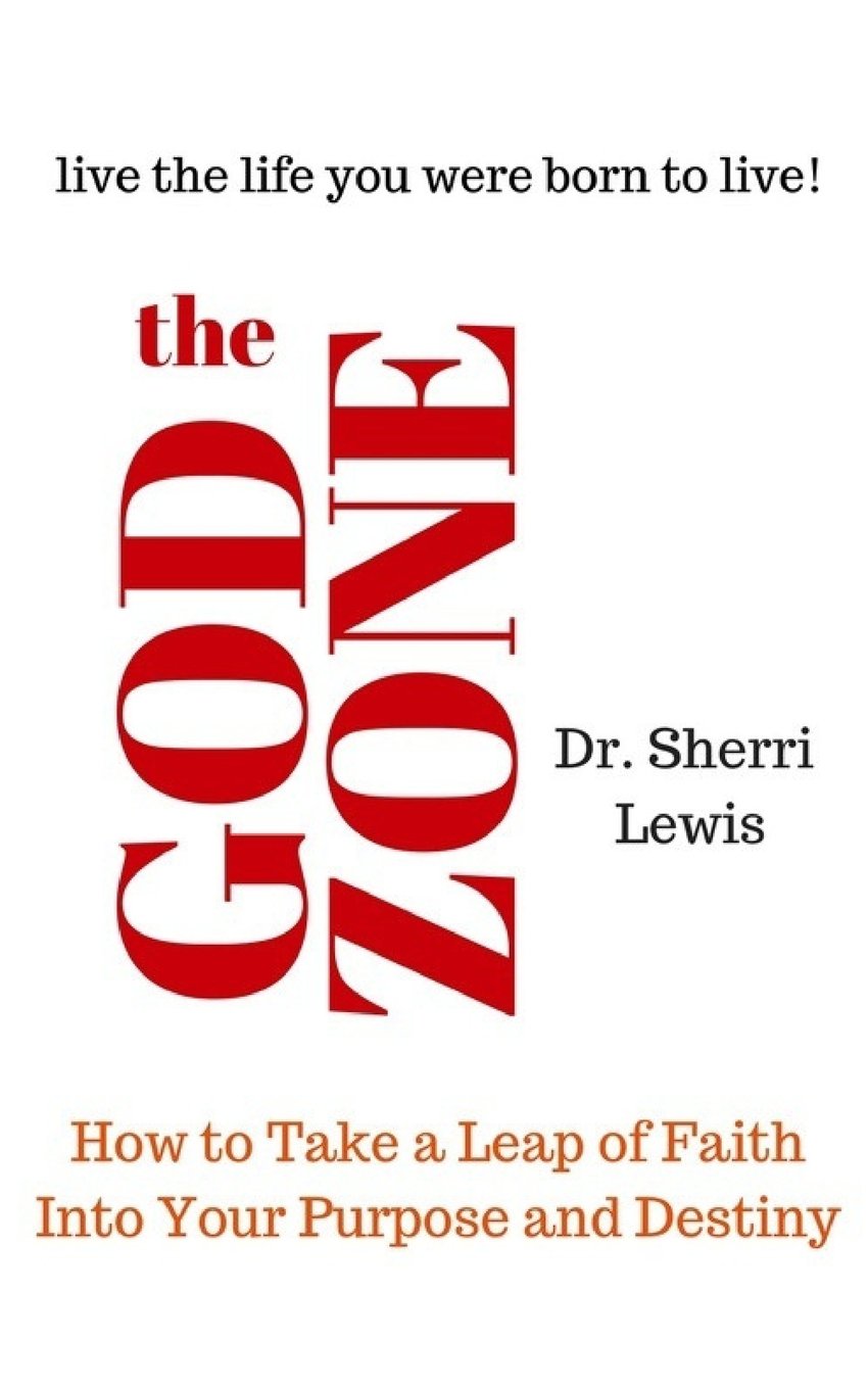 The God Zone: How to Take a Leap of Faith Into Your Purpose and Destiny: Volume 1 (The God Zone Series)