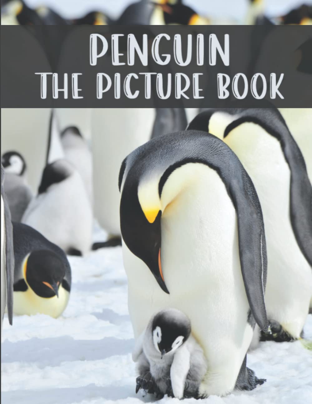Penguin: The Picture Book of Cute Penguin for Seniors, Dementia Adults with Alzheimer's, and Patients to Help Memory Loss.