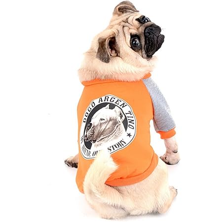 Amazon Zunea 犬服 おしゃれ フレンチ ブルドッグ パーカー コート 秋冬服 かわいい ジャケット 小型犬 綿製 暖かい 防寒 パグ ペット 洋服 野球服 お出かけ お散歩 オレンジ Xxl Zunea コート ジャケット 通販
