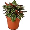 Product Photo 1