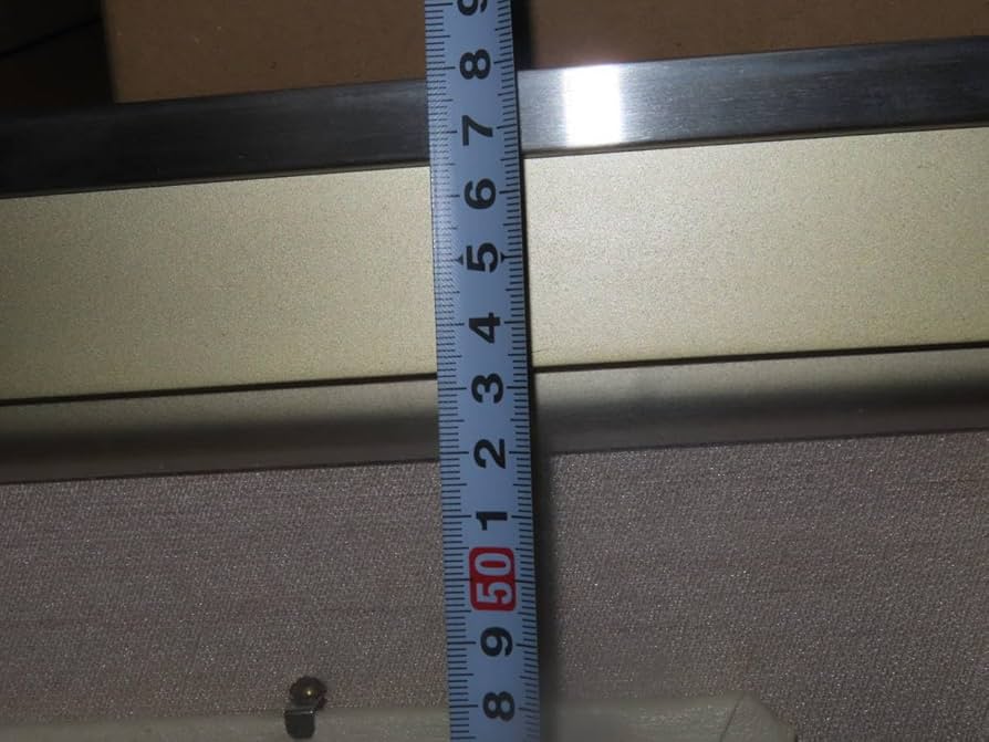 Amazon.co.jp: SGI 創価学会 SGI 平和友好賞 賞状とメダルセット