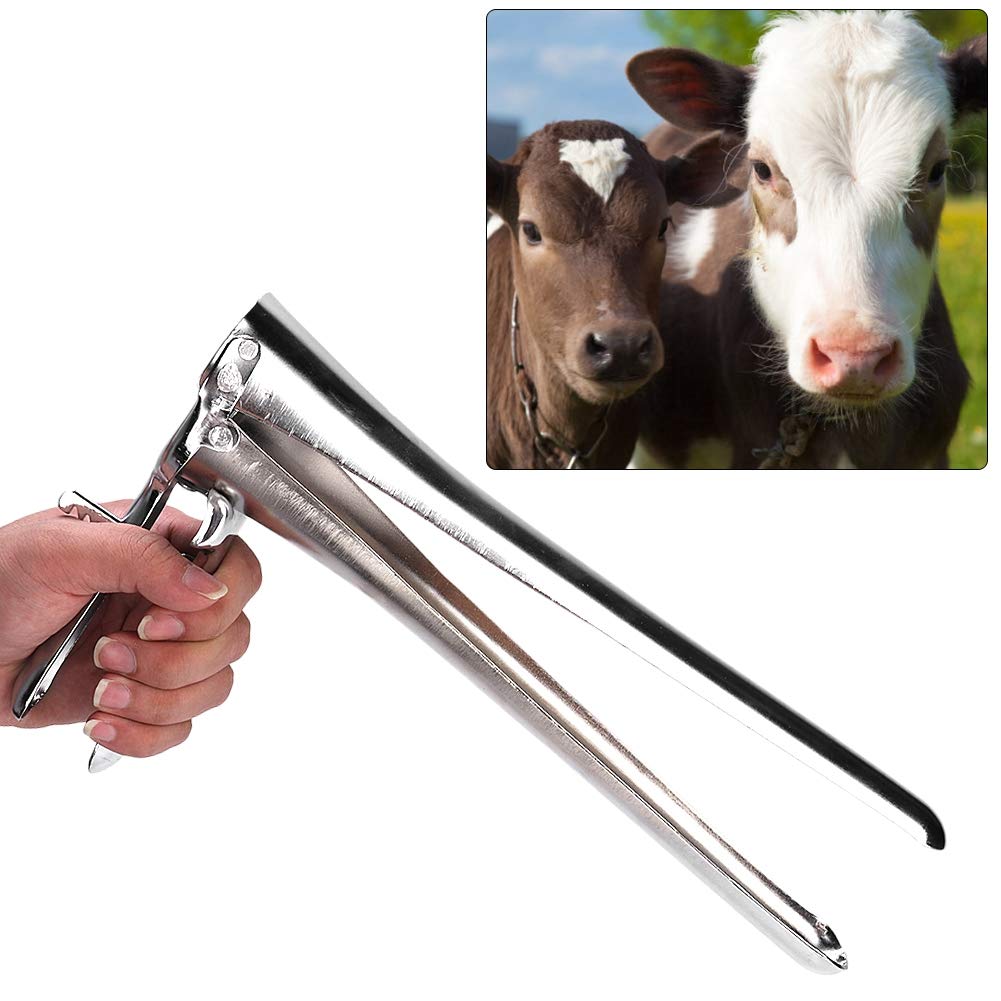 Kuh-Vieh-Dilatator, Spekulum, Viehöffner, Veterinärinstrument, Rinder-Vaginal-Dilatator