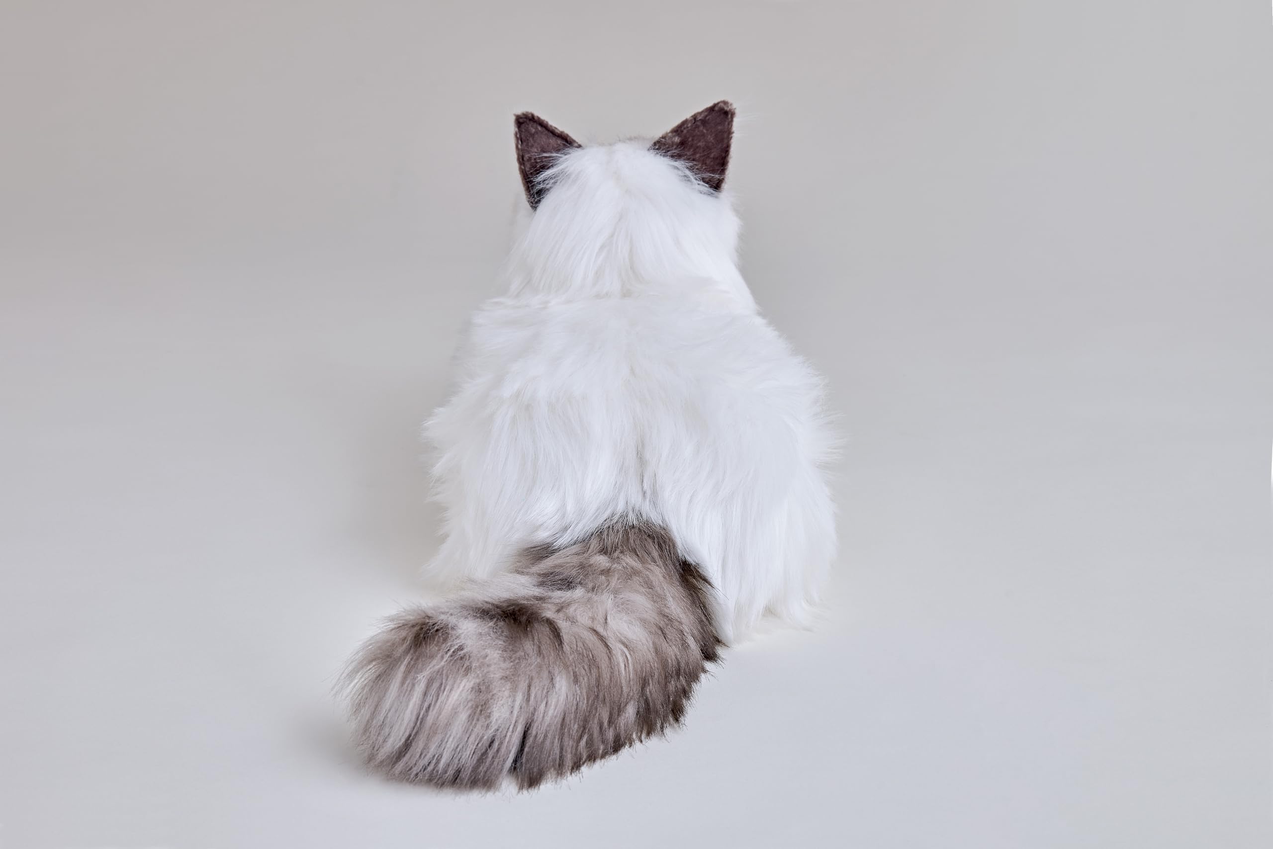 Amazon.co.jp: セガフェイブ (SEGA FAVE) KIMIT (キミット) ラグドール